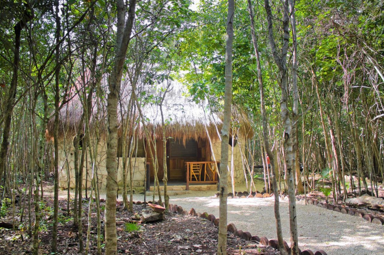 Aldea Maya-Ha Cabanas Con Cenotes Puerto Morelos Kültér fotó
