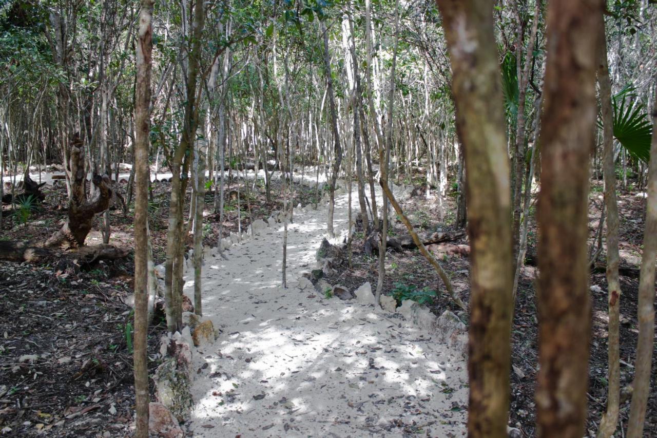 Aldea Maya-Ha Cabanas Con Cenotes Puerto Morelos Kültér fotó