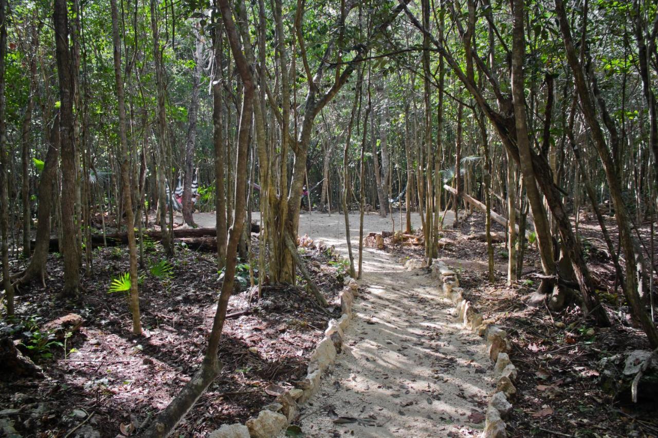 Aldea Maya-Ha Cabanas Con Cenotes Puerto Morelos Kültér fotó